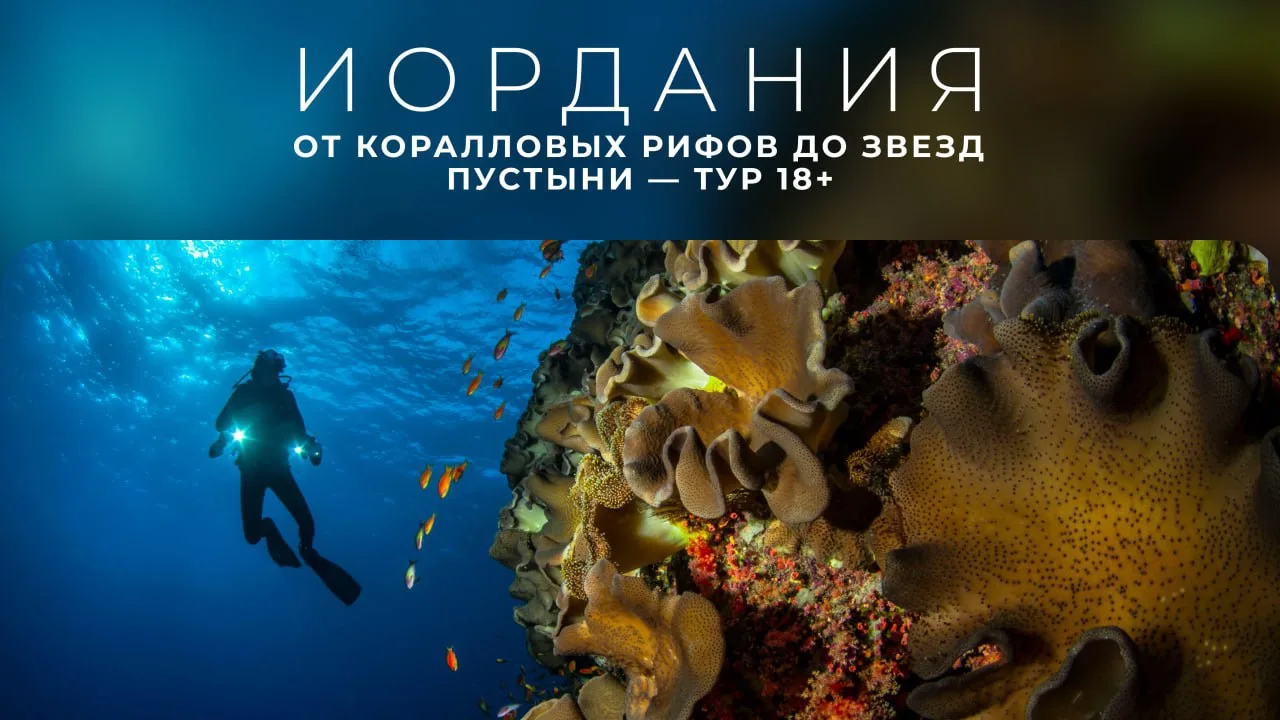 📸Иордания 18+: Красное море, Петра и звёзды пустыни. ✨
