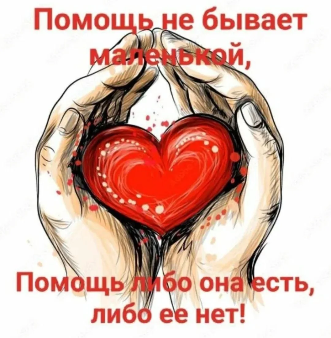 🤝 Снова нужна ваша помощь, друзья!