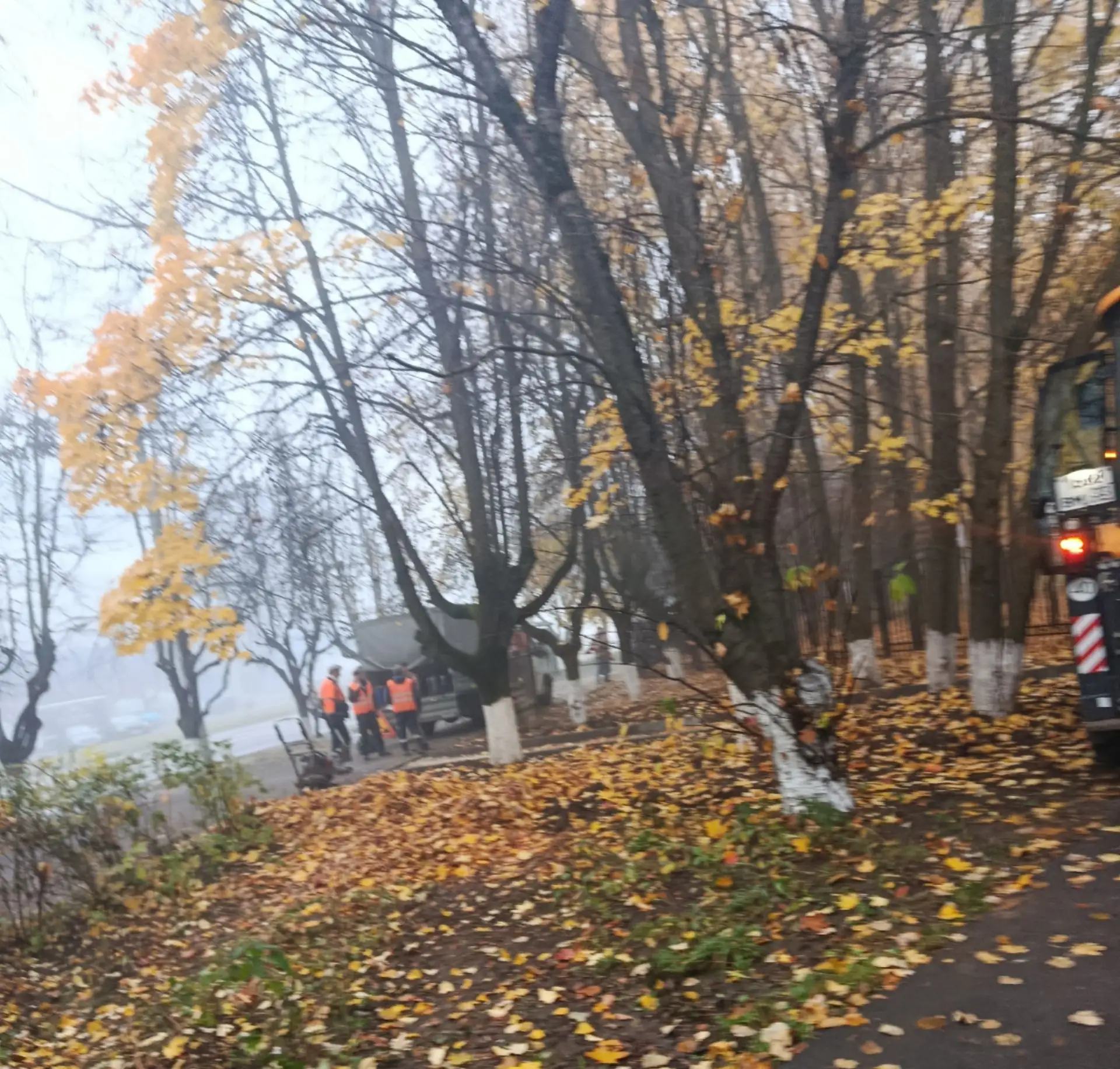 Свершилось чудо! Сколько себя помню выход (дорога) из парка Добросельский на остановку ...
