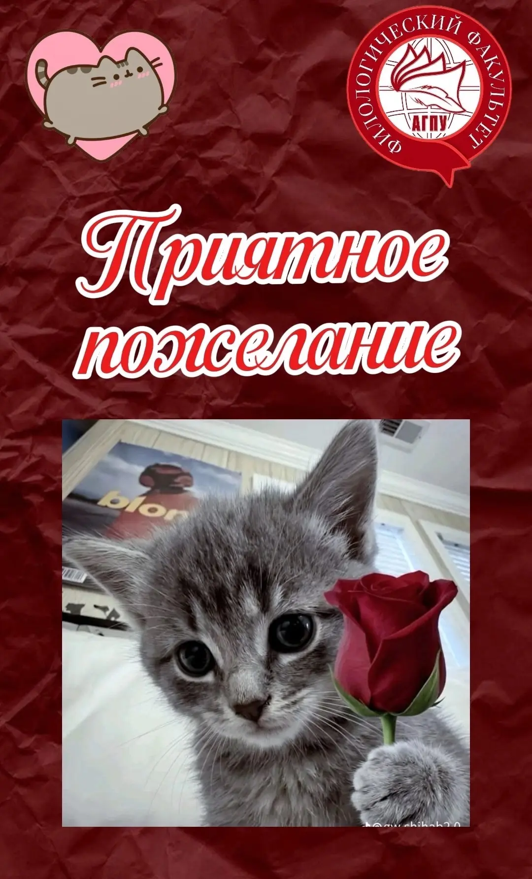 🤍Приятное пожелание🤍