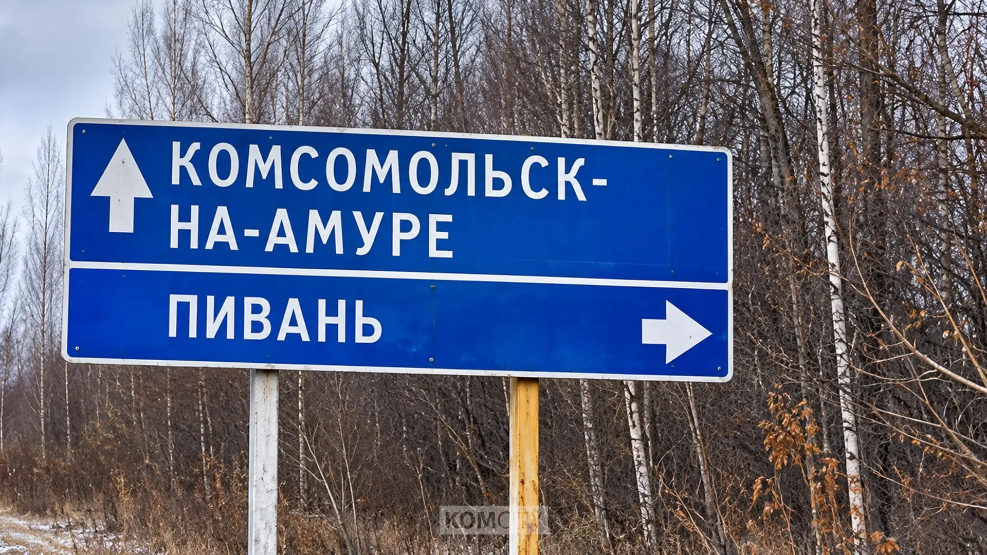 Мопедист погиб на трассе в районе Пивани