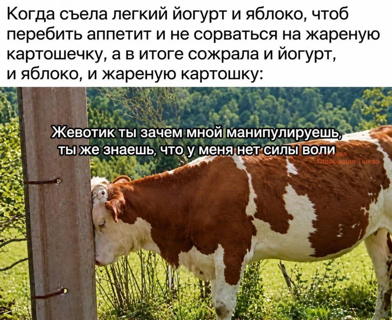 А можно было как-то по-другому? #мемнаночь