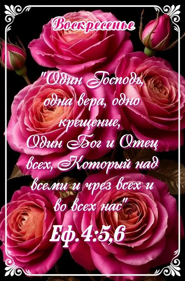#Воскресенье