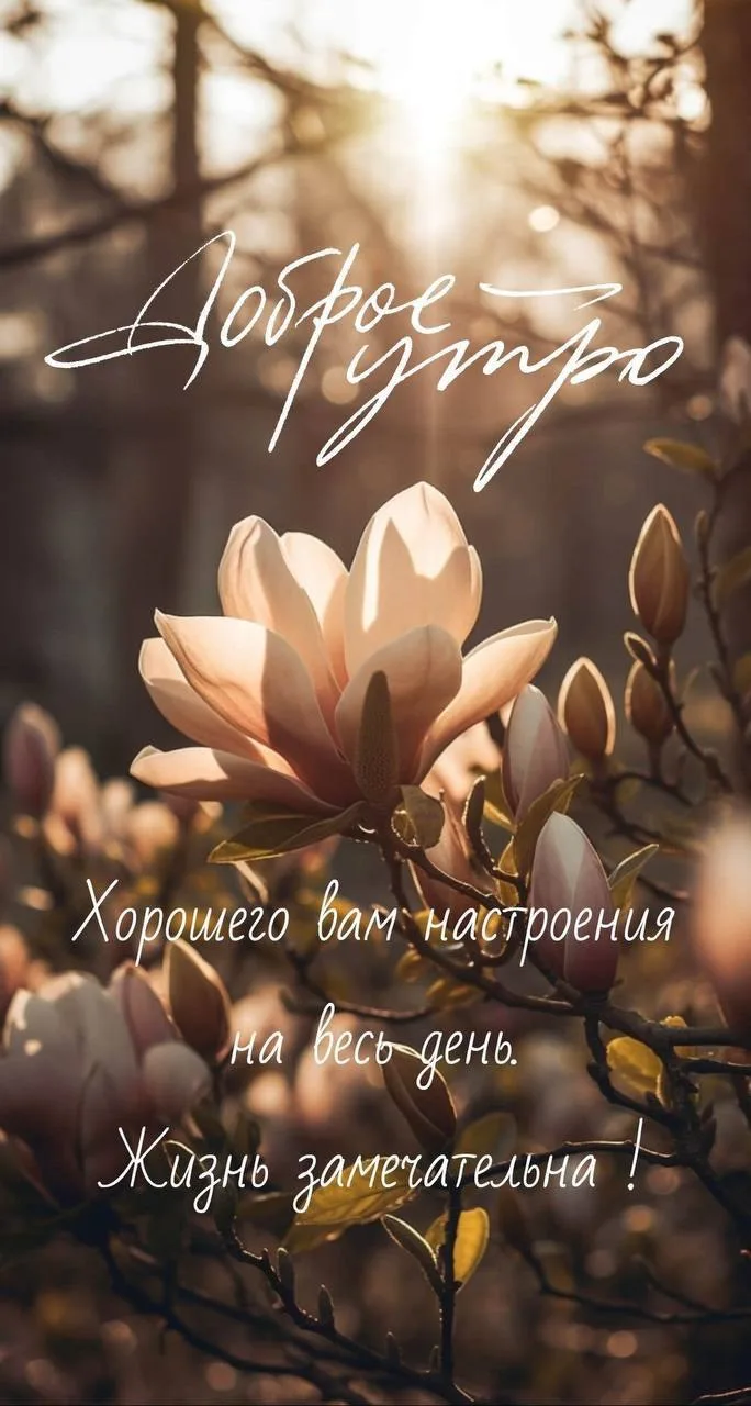 @pozdraf