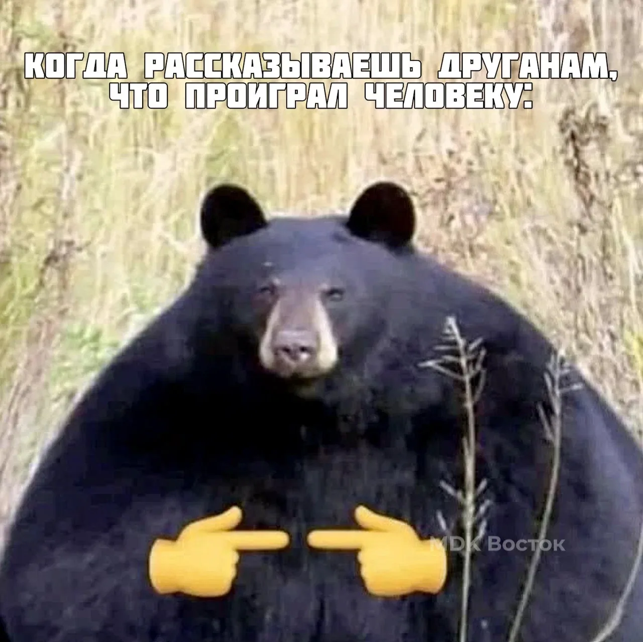 🐻 В Приморье рыбак отбился от медведя врукопашную