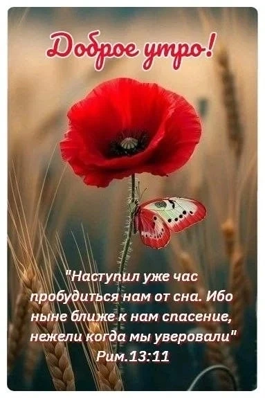 ☀️ Доброе утро друзья! ☀️