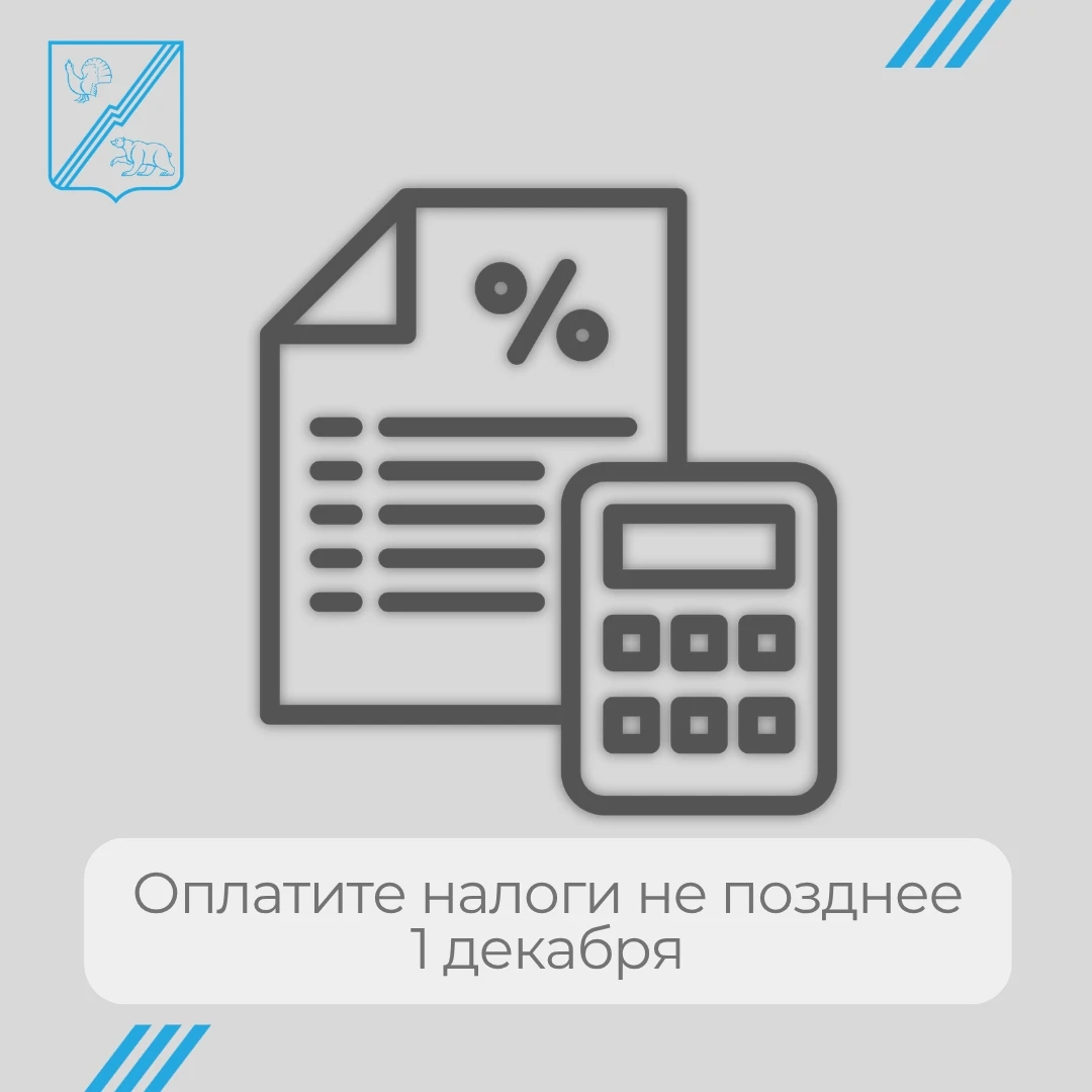 Налоговая уже рассылает уведомления: в них — суммы транспортного, земельного и имуществ...