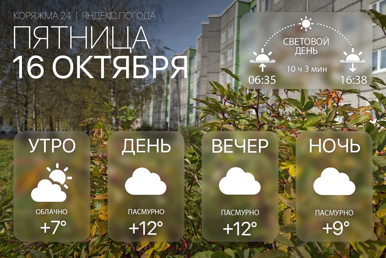 Доброе утро, Коряжма! 🌤