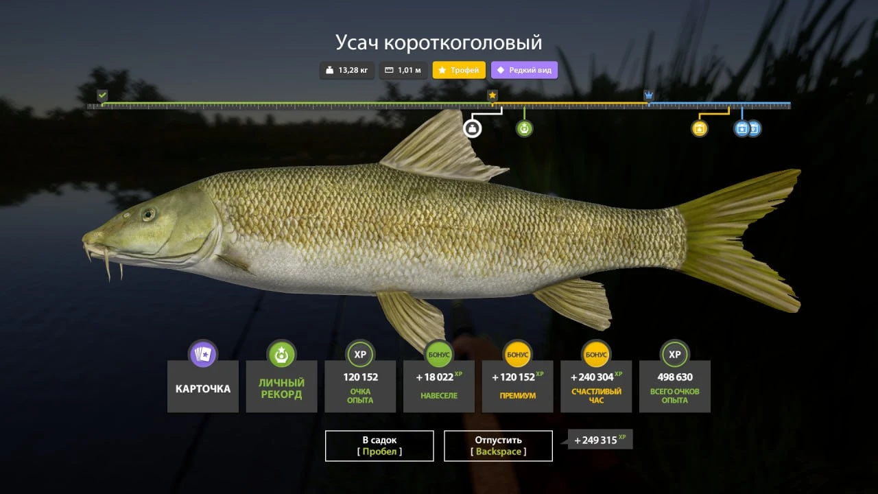 #ахтуба@rr4pepper