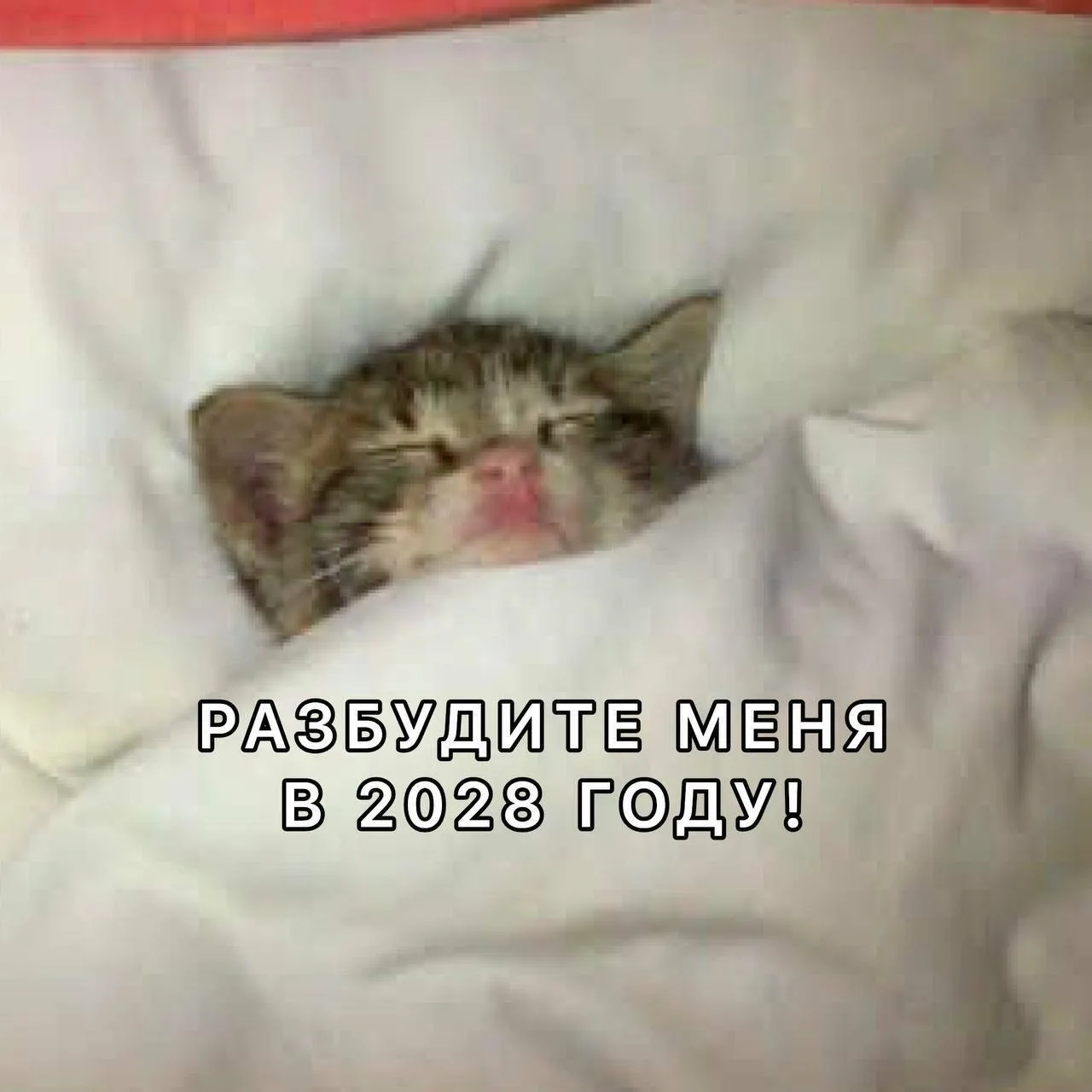 💸 Наша любимая рубрика — мы будем больше зарабатывать!