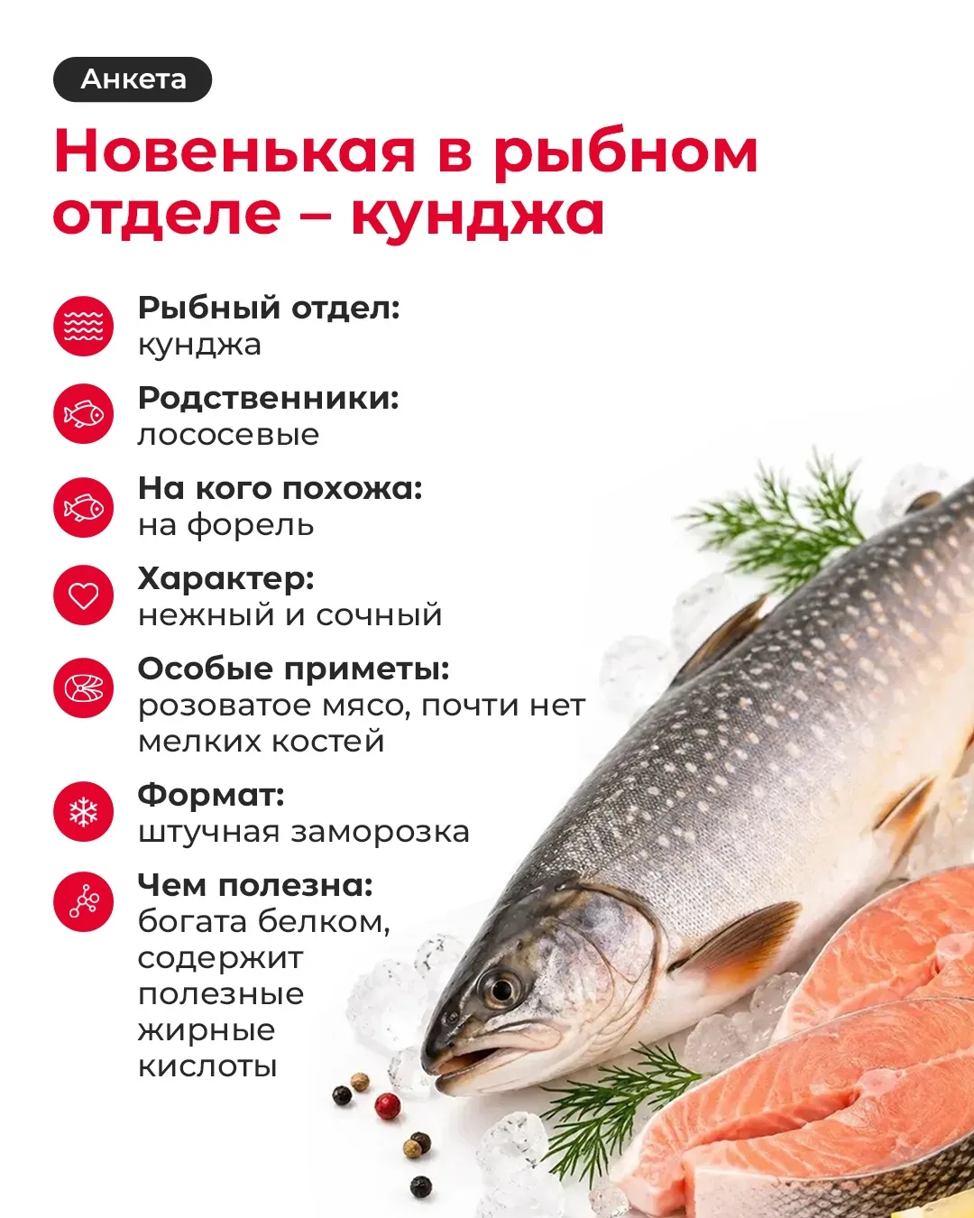 В рыбных рядах новенькая 🐟