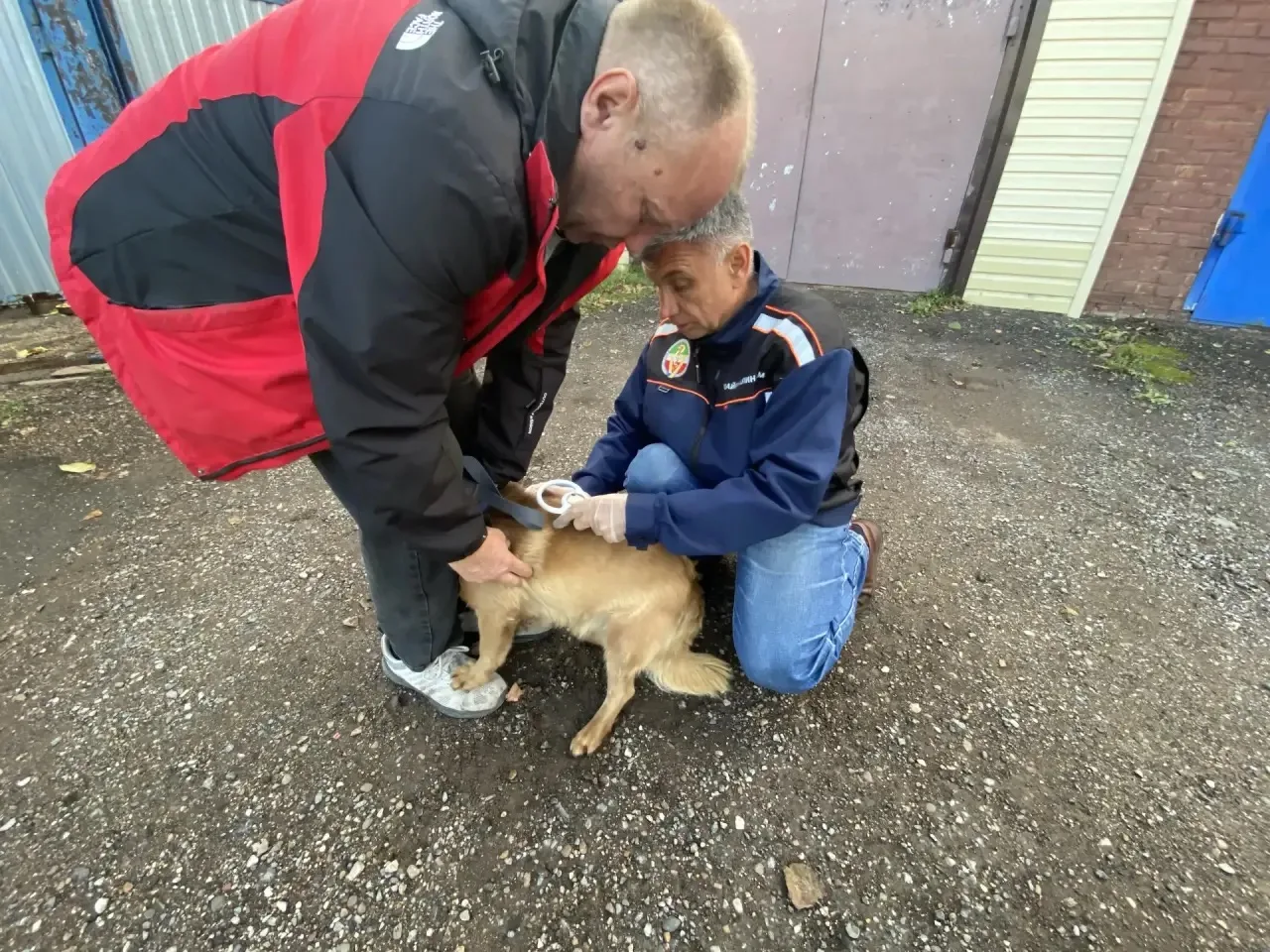 🐶🐱 Забота о питомцах — наша общая ответственность! 🐱🐶