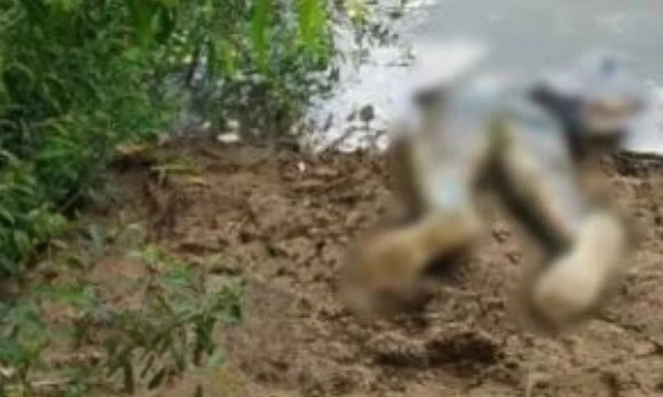 Тело женщины обнаружили в воде в Новом Уренгое