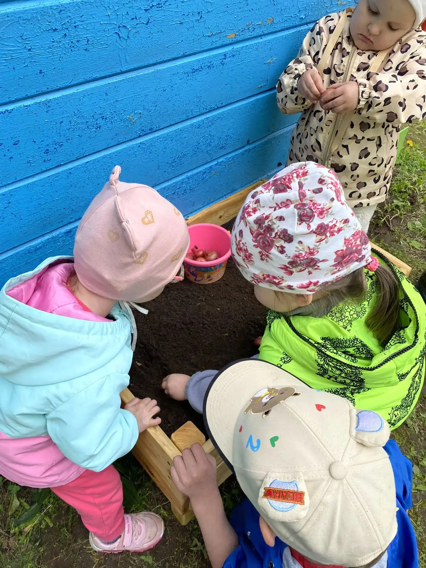 ✨ Маленькие огородники в деле✨