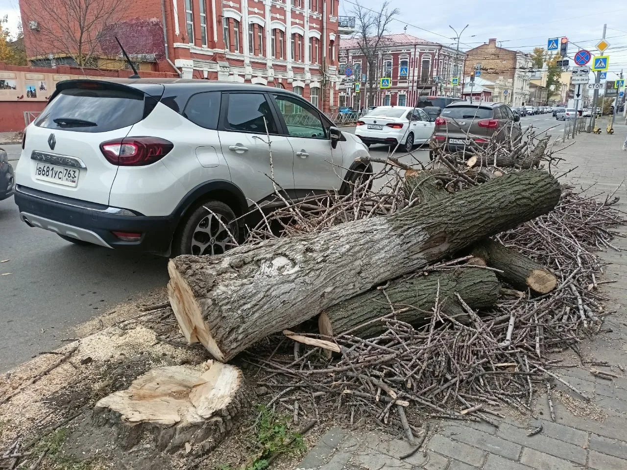 🔴На улице Фрунзе спилили деревья на участке от Филармонии до Некрасовской.