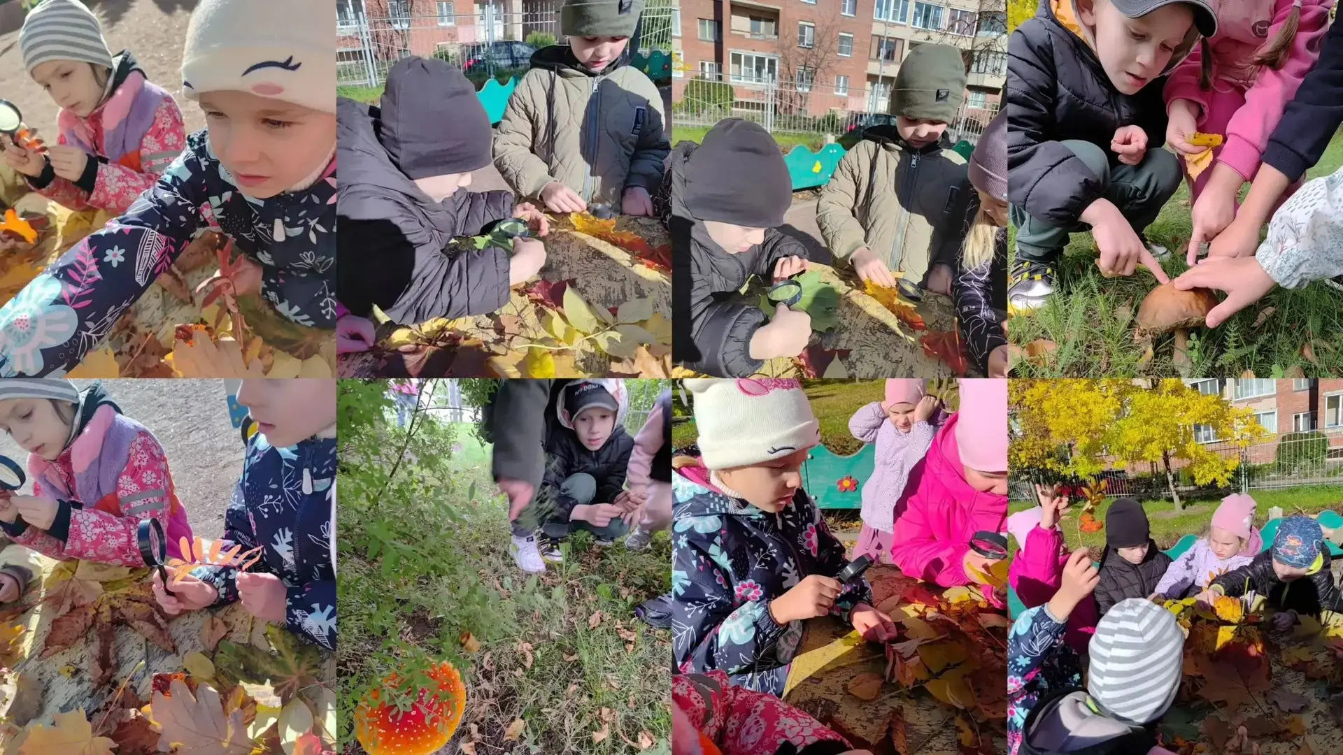 Осень яркими красками в подготовительной группе 2!