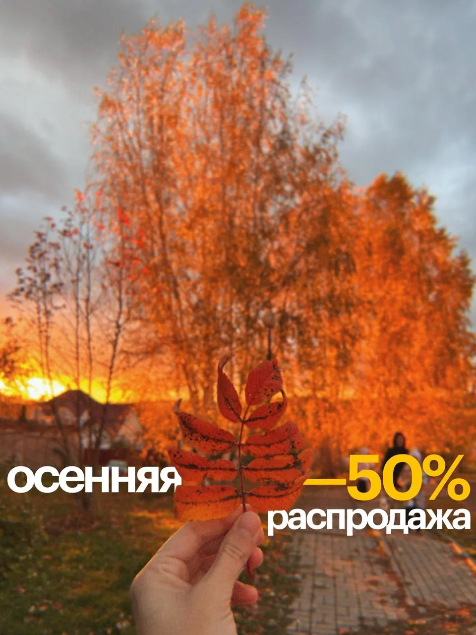 🔥 По промокоду ОСЕНЬ сегодня и завтра скидка 50% на все МК по вязанию и на гайд по ков...