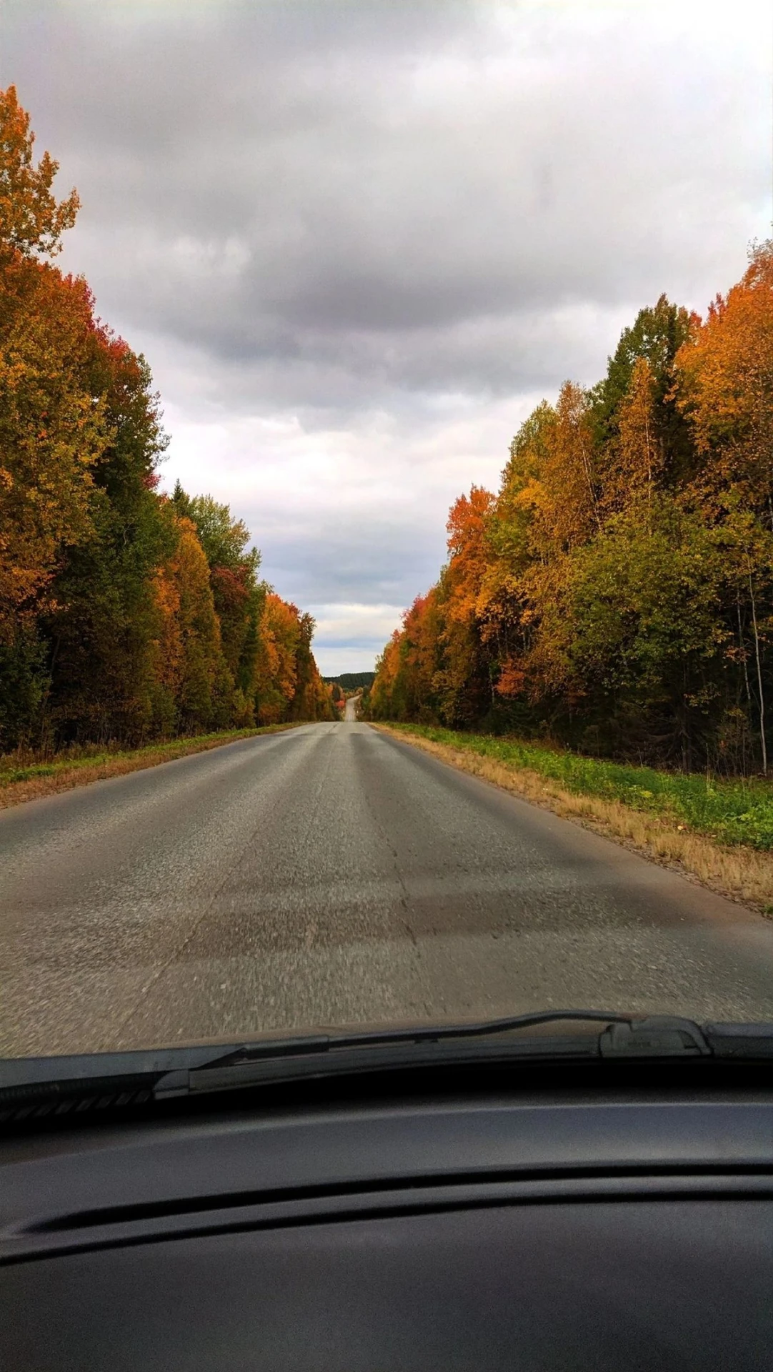 Доброе утро, Саргатский район ❤️