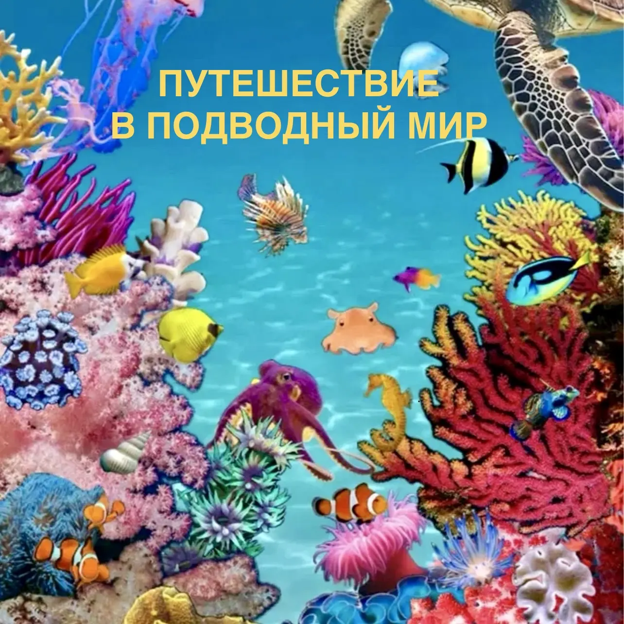 ⛵️Путешествие в морские глубины в подготовительной группе 12🛟