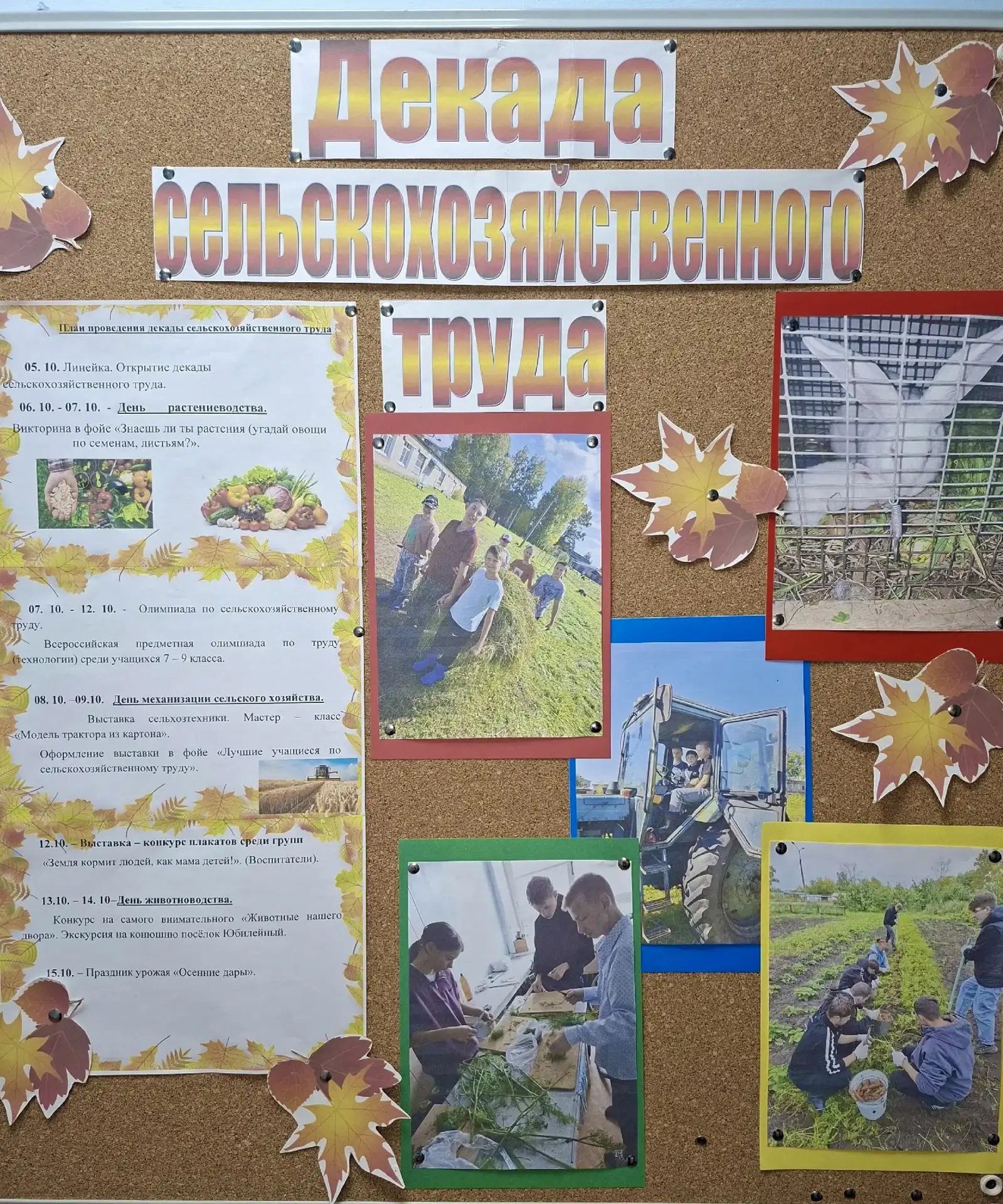В нашей школе стартовала Декада сельскохозяйственного труда.