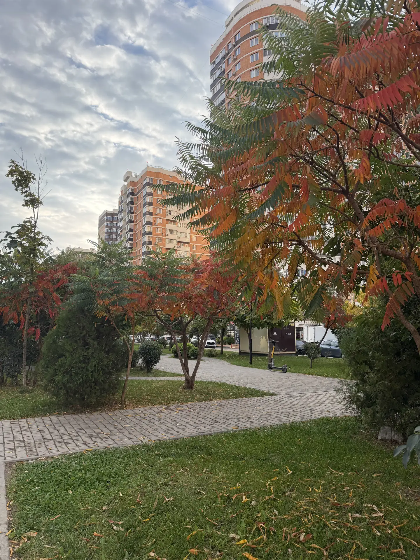 Доброе утречко 🤗 Какие краски у осени 😍