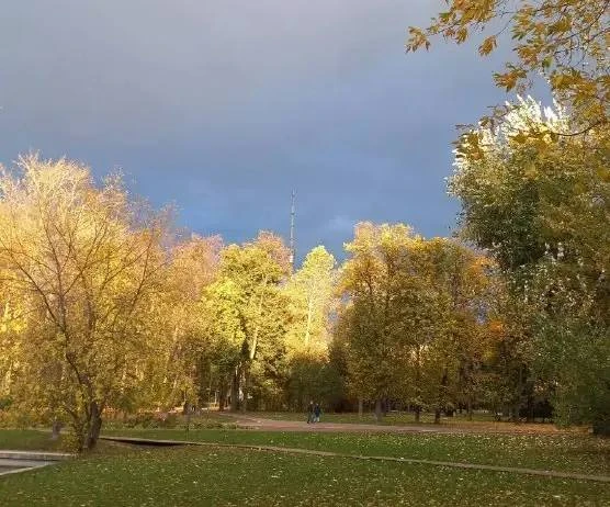 🌿 Осенние краски Бутырского