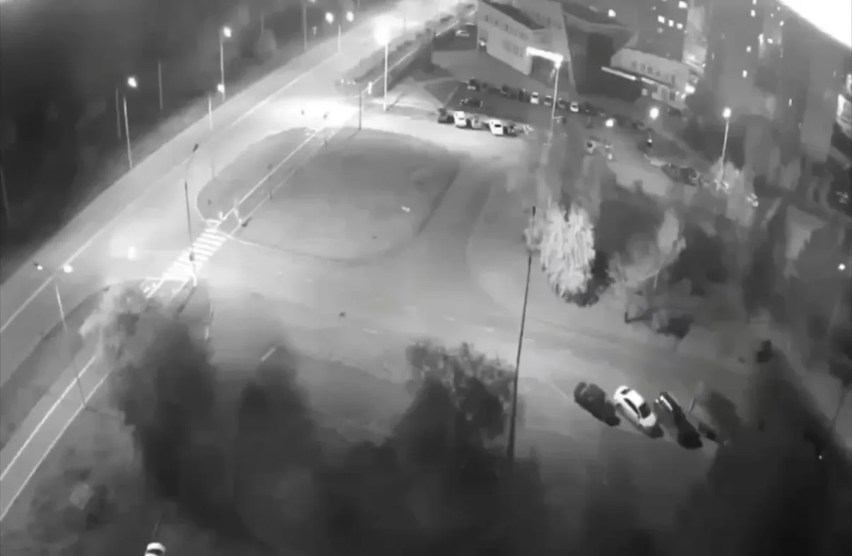 В Братске «медведи» оказались двумя собаками