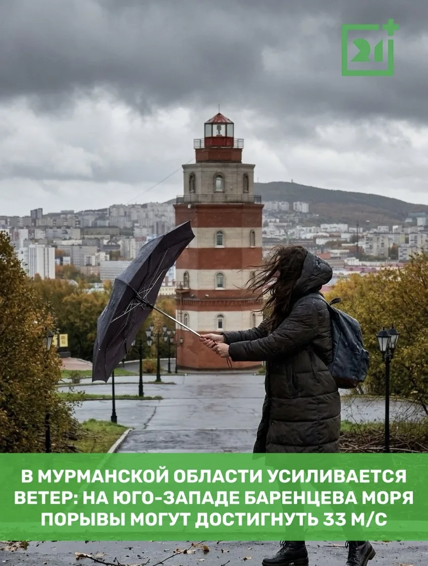 ❗️В Мурманской области усиливается ветер: на юго-западе Баренцева моря порывы могут дос...