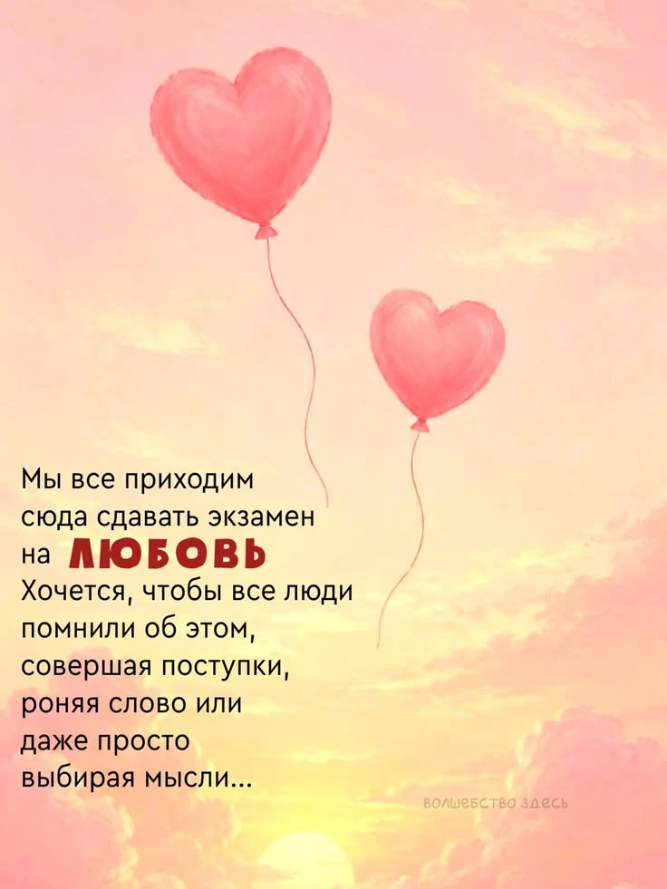 https://max.ru/invista123456