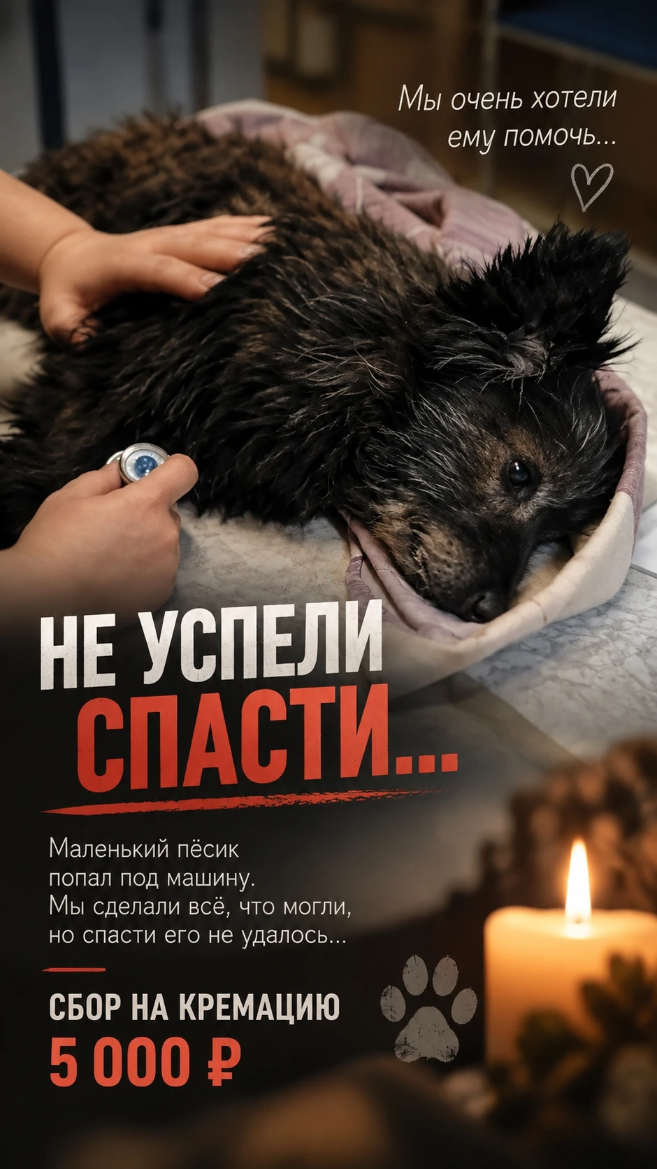 💔 Друзья, сегодняшний солнечный день начался для нас с очень печальной истории.