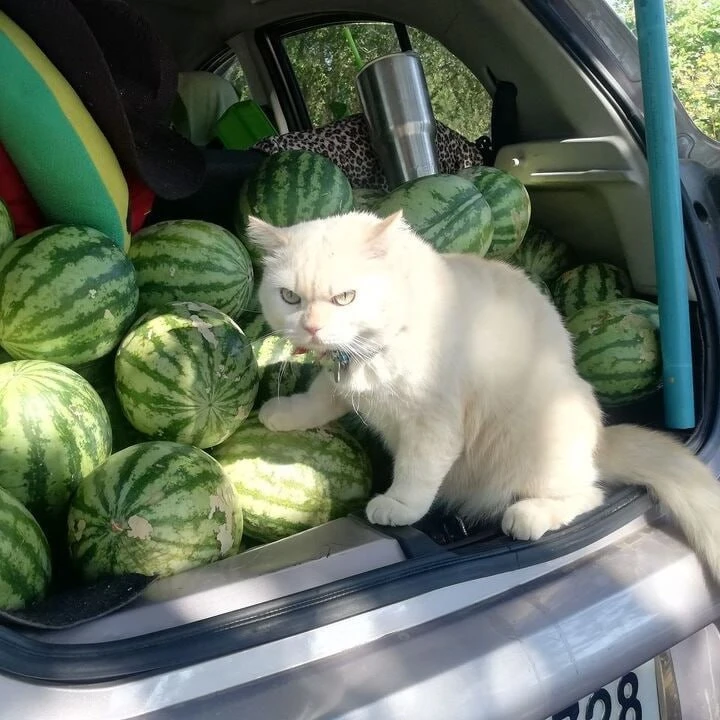 Люди теряют силы не потому, что путь слишком длинный, а потому что взгляд прикован к то...