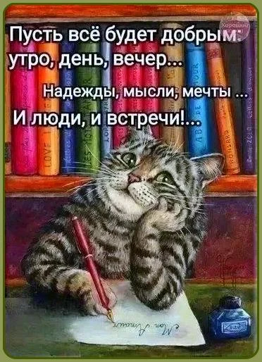 Милые открытки 😊 подписаться