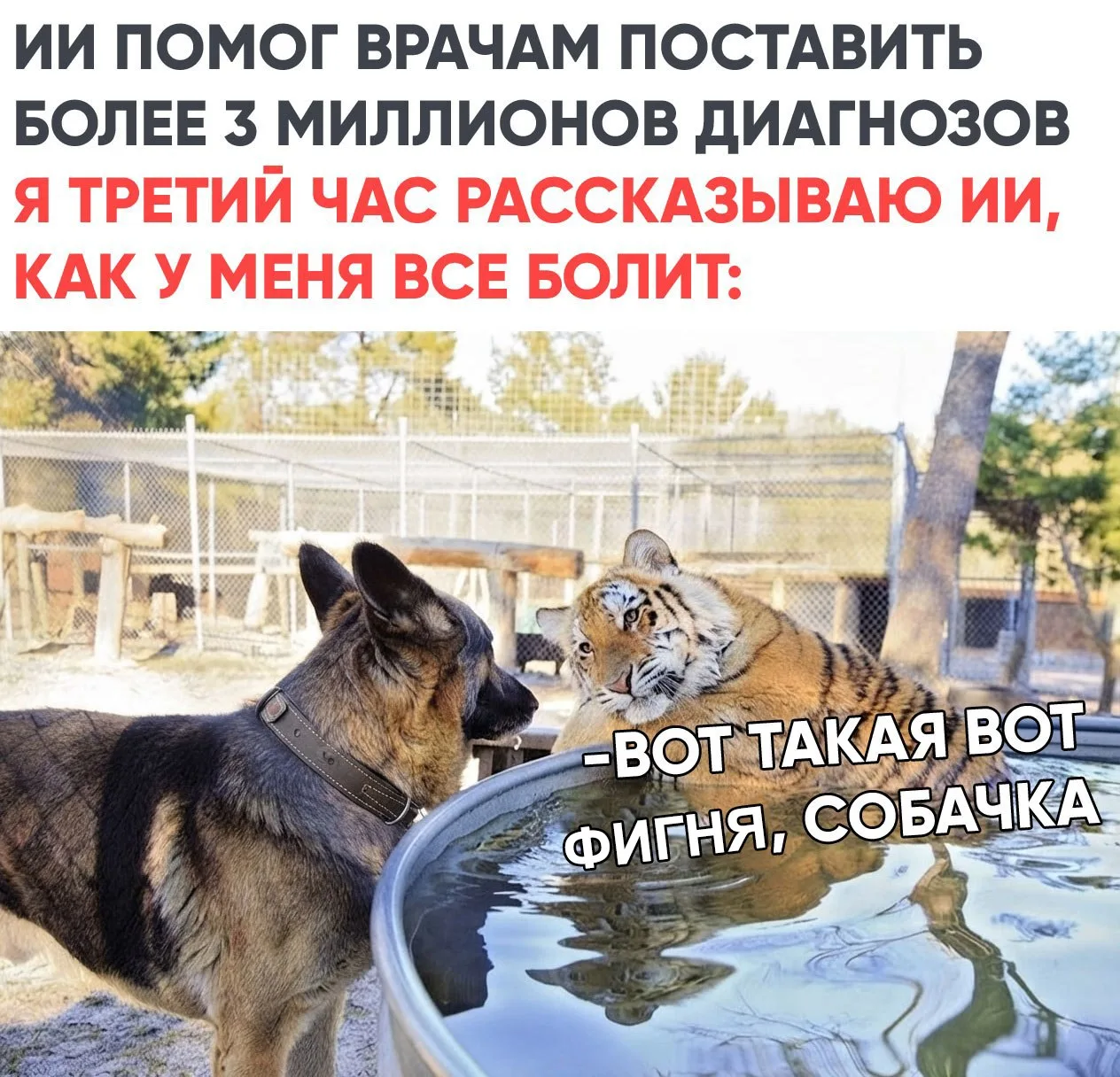 Ставь лайк! ❤️