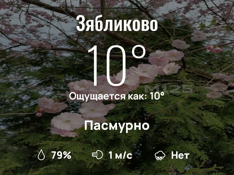 Что с погодой в Зябликово?