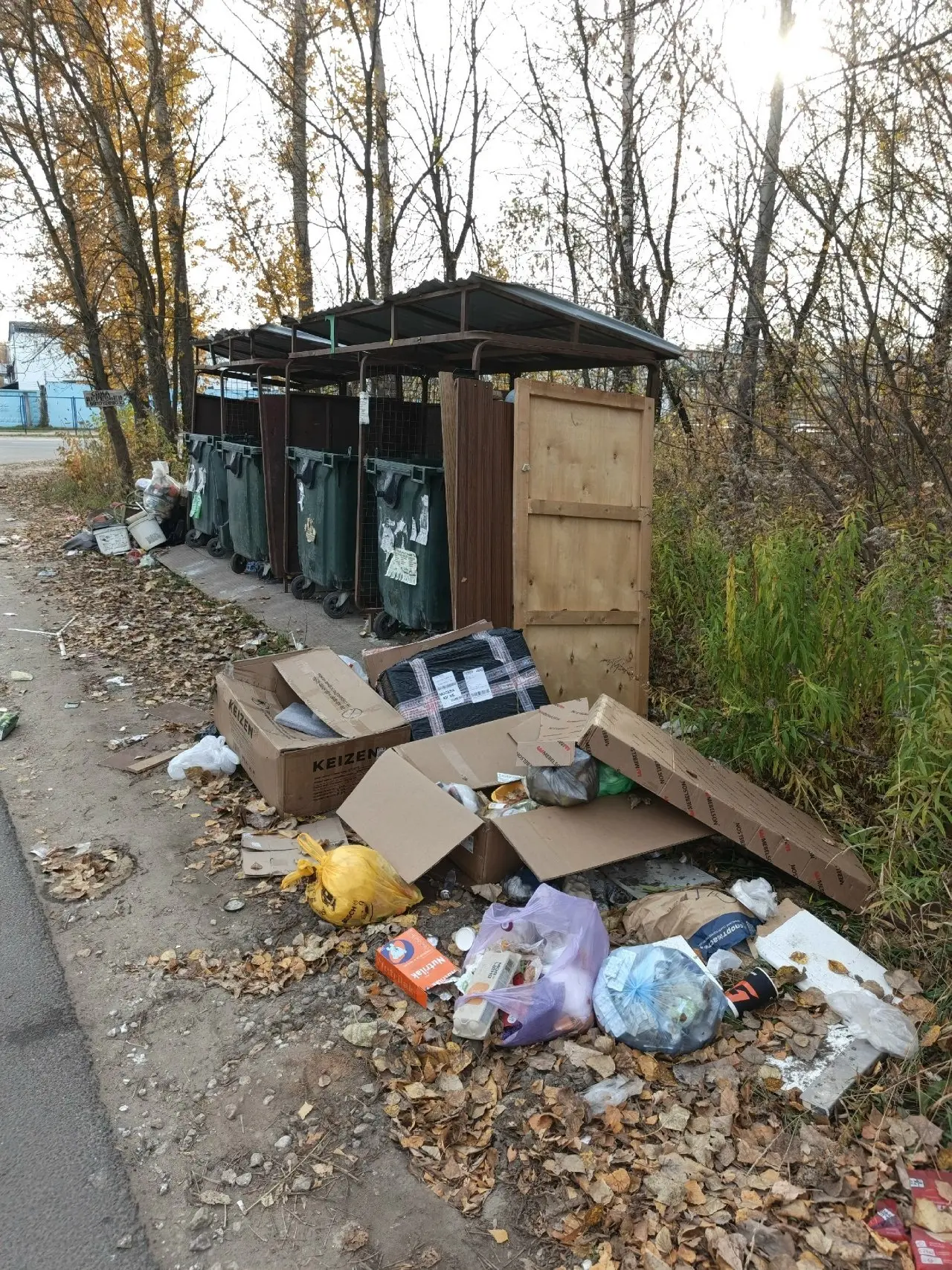 Что и требовалось доказать, нам обещали обустройство новой контейнерной площадки на Дру...