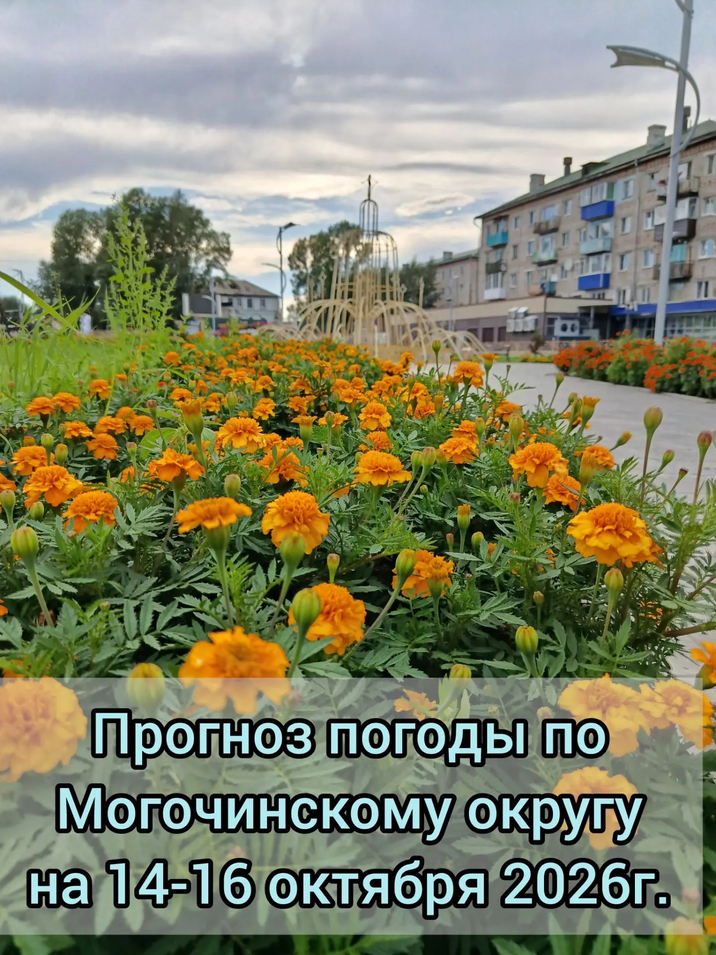 🌥️Прогноз погоды по Могочинскому округу на 14-16 октября