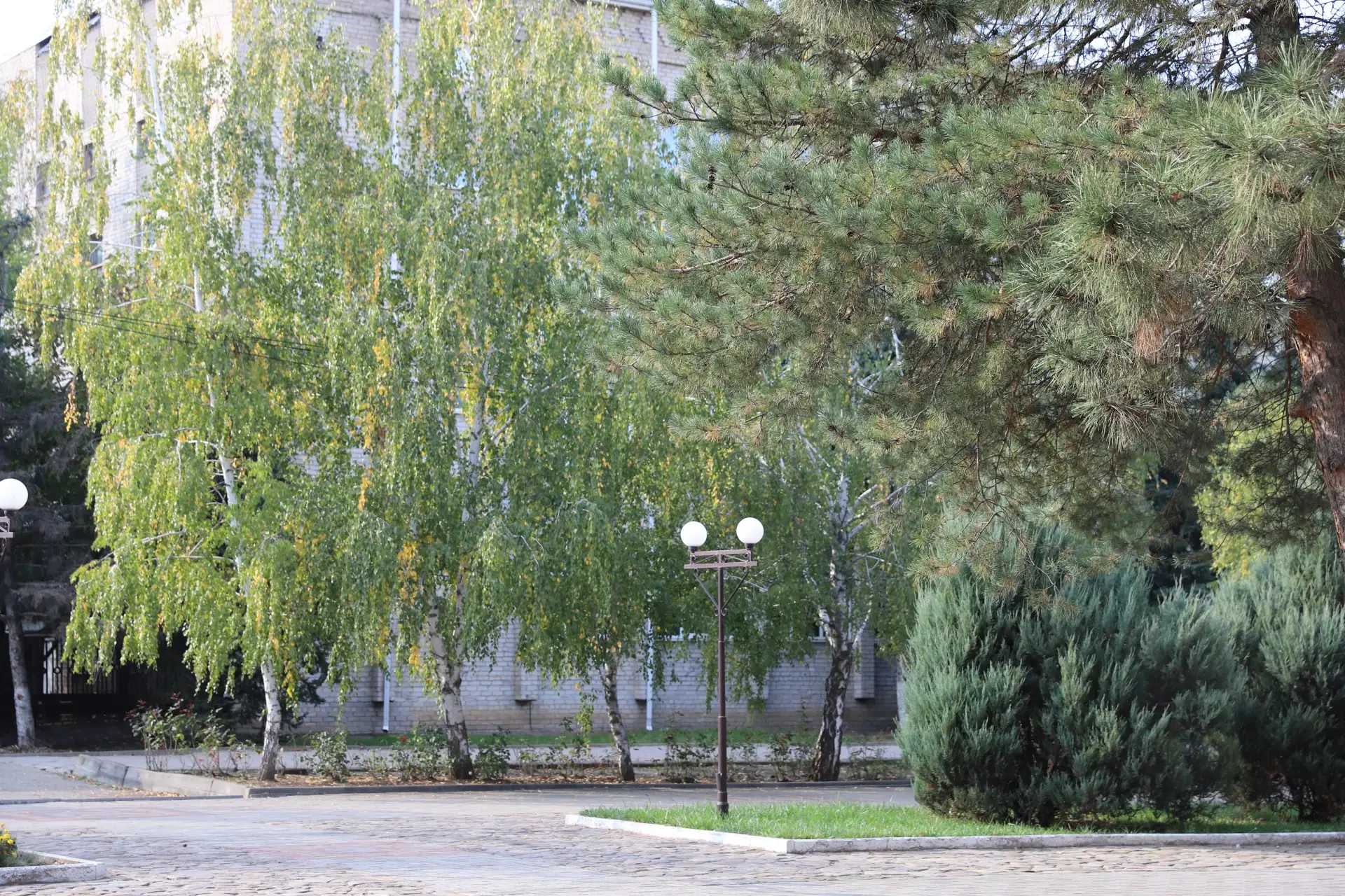 Доброго вечера!✨