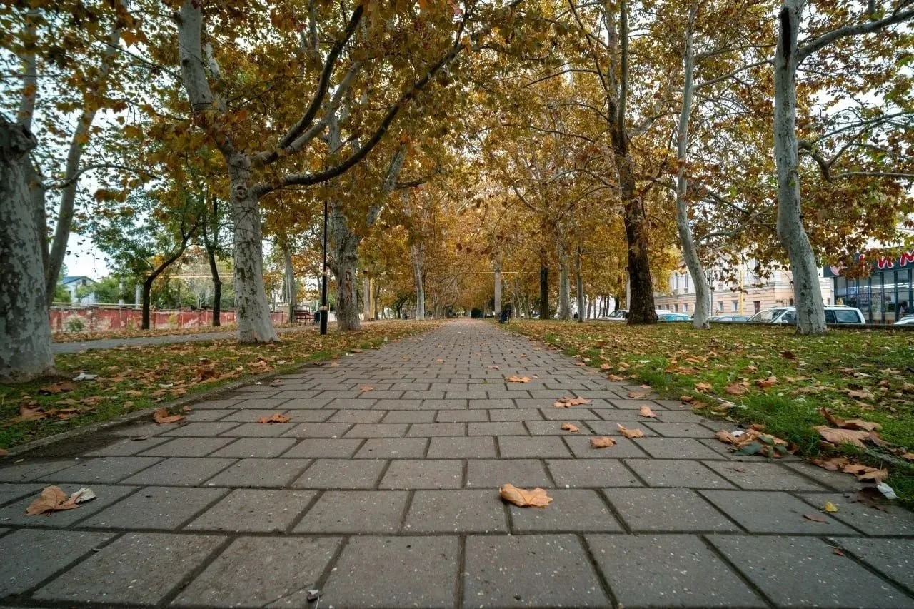 Осень красками щедро дарит нам тепло.