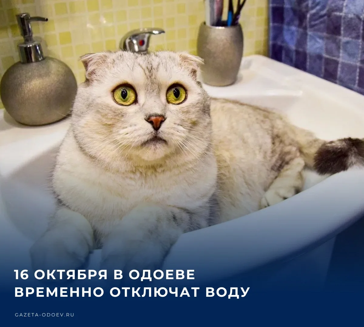 💧 16 октября в Одоеве планируется временное отключение водоснабжения. Без воды останут...