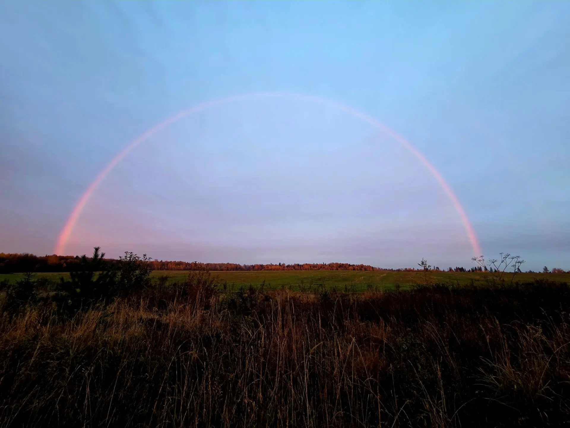 Октябрьской радуги вам в ленту, друзья 🌈
