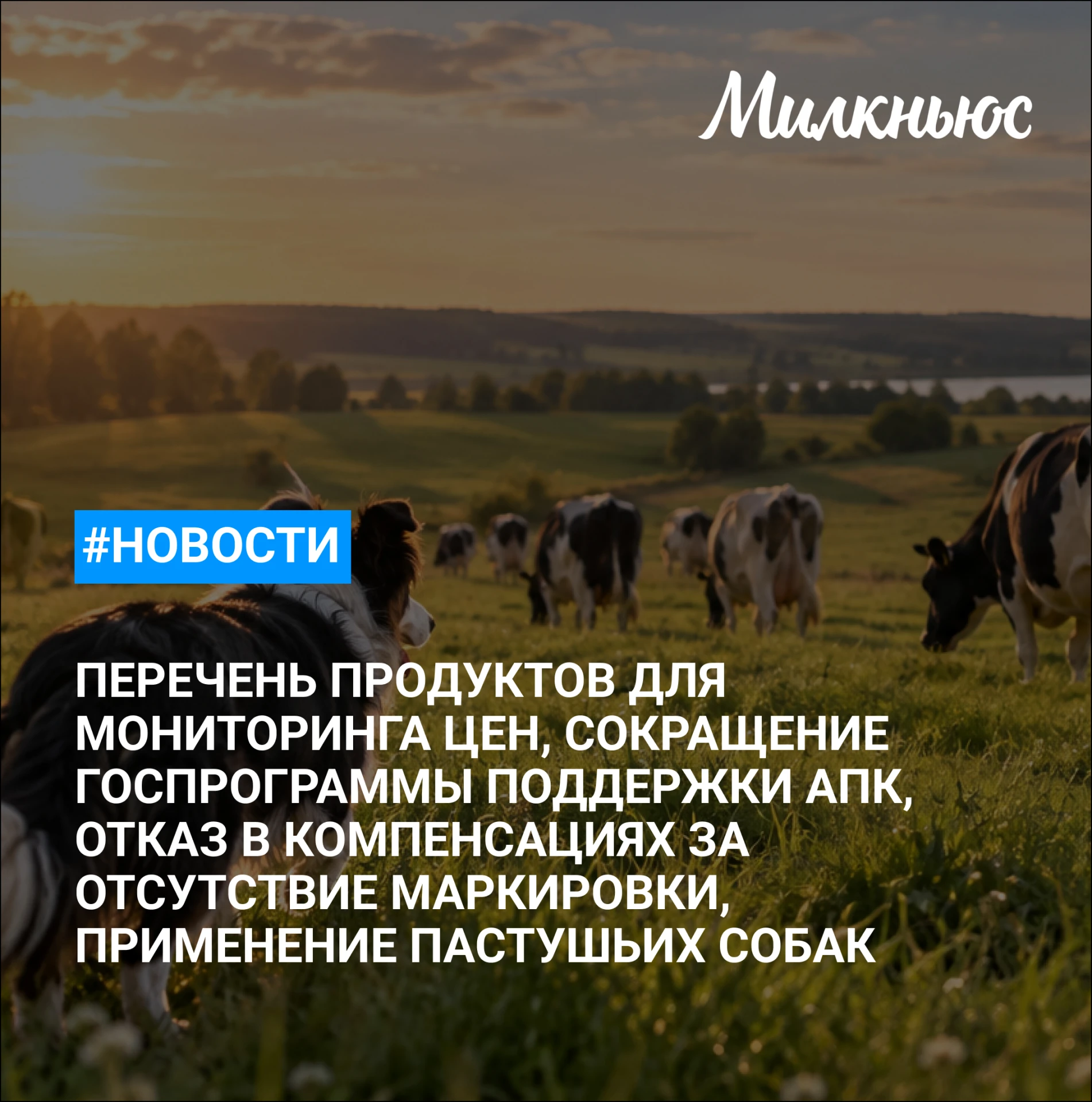 🐮 Аграрный комитет Госдумы указал на сокращение госпрограммы поддержки АПК в 2027 году