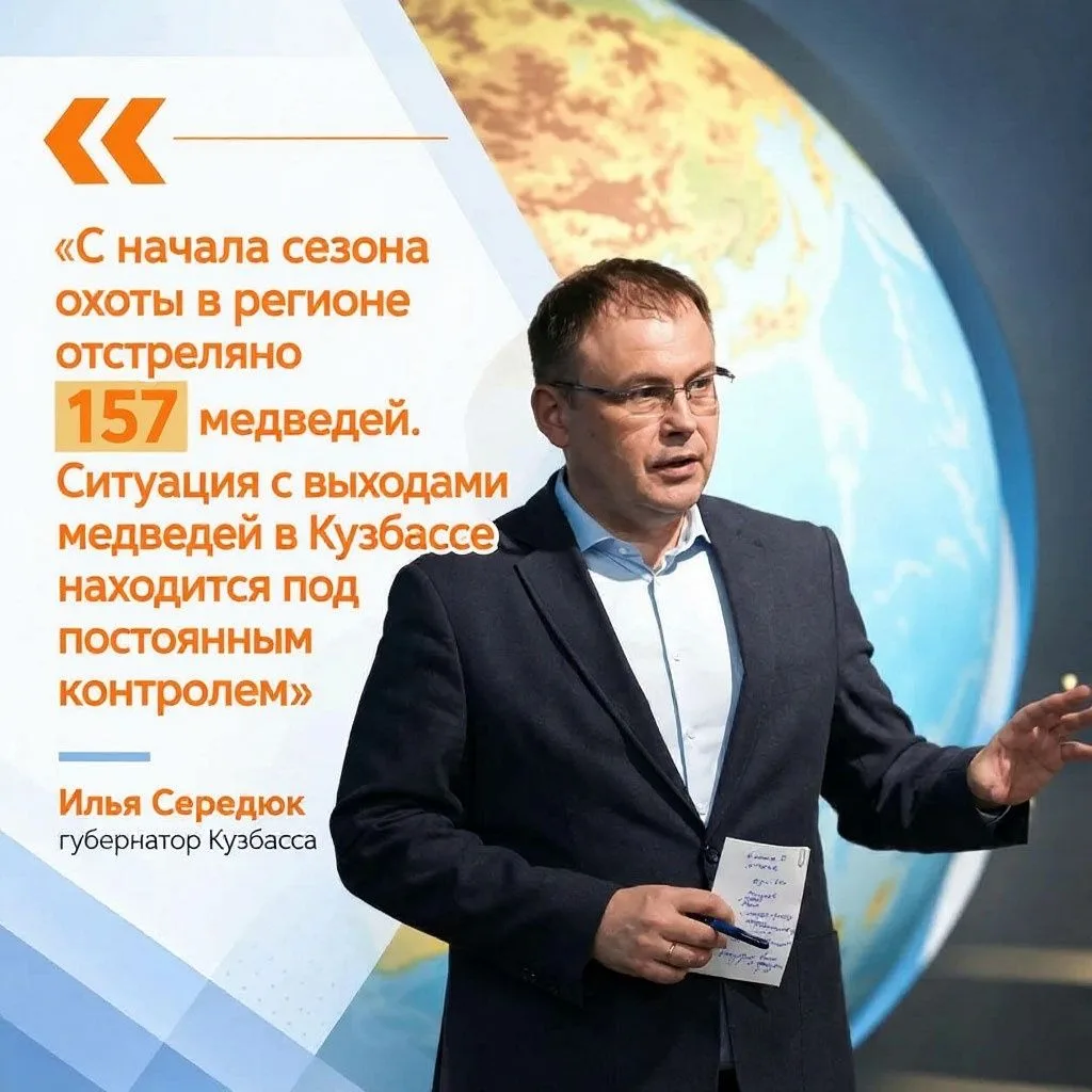 Губернатор заявил, что ситуация с выходами медведей в Кузбассе находится под контролем