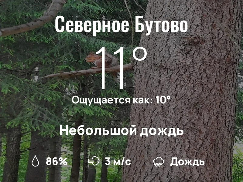 Что с погодой в Северном Бутово?