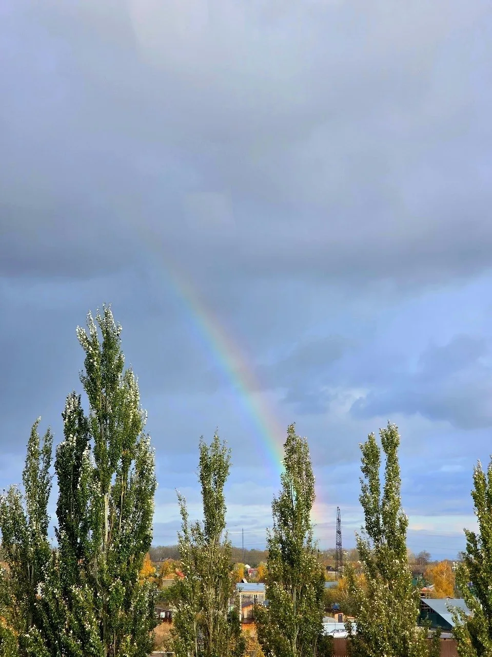 Осенняя радуга 🌈