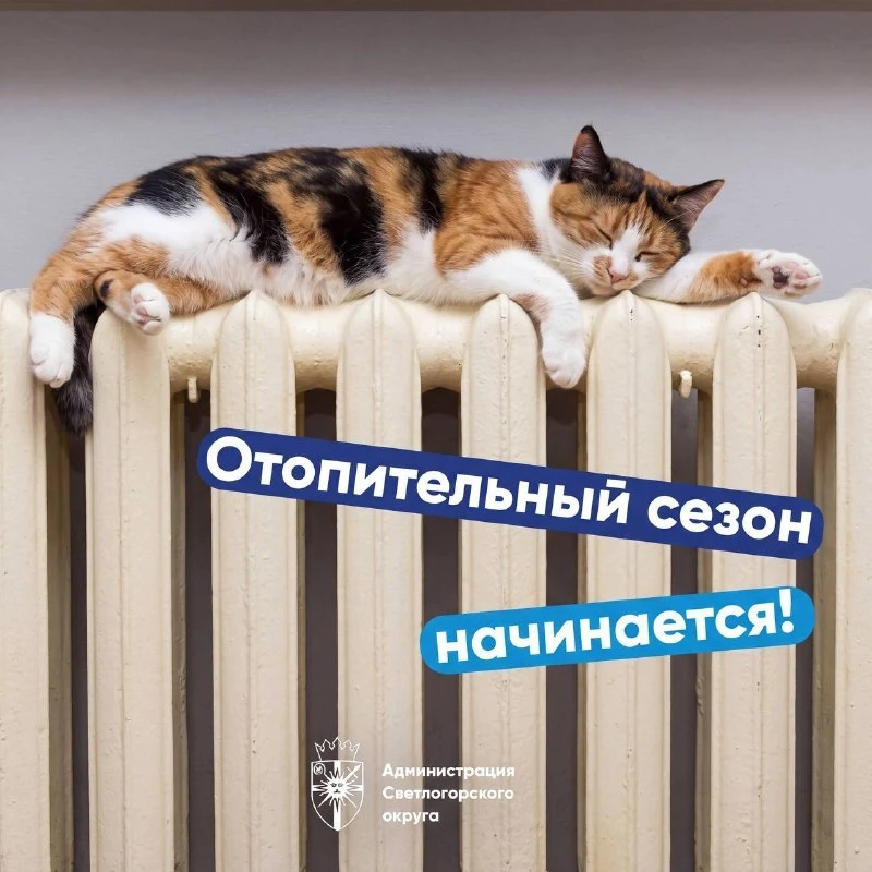 Светлогорский округ переходит на тепло.