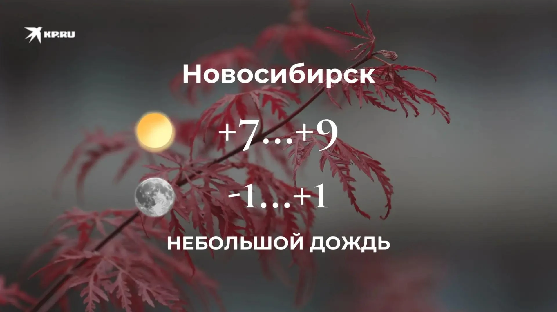 Доброе утро, новосибирцы!