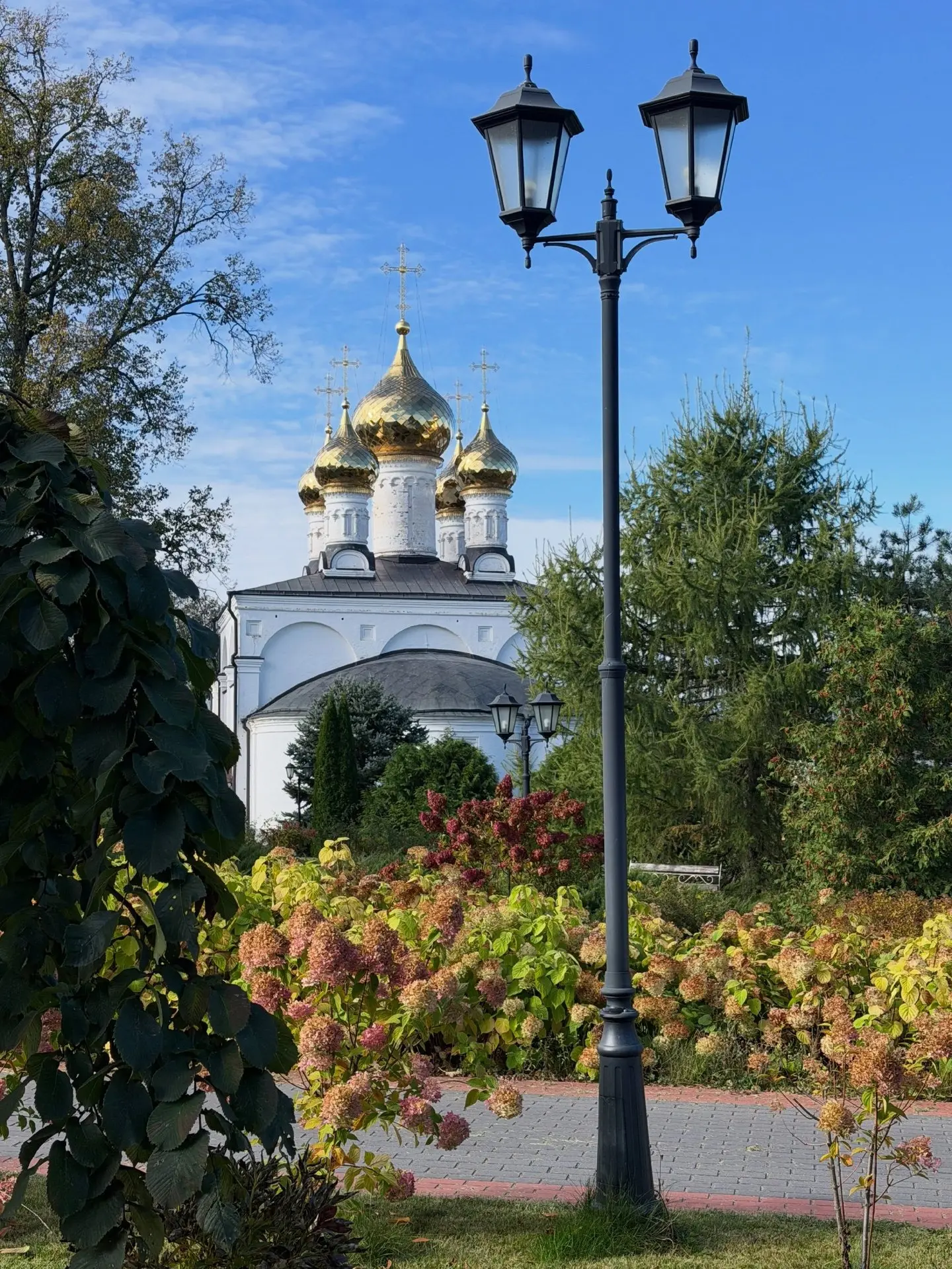 🍂Осень в Солотче.