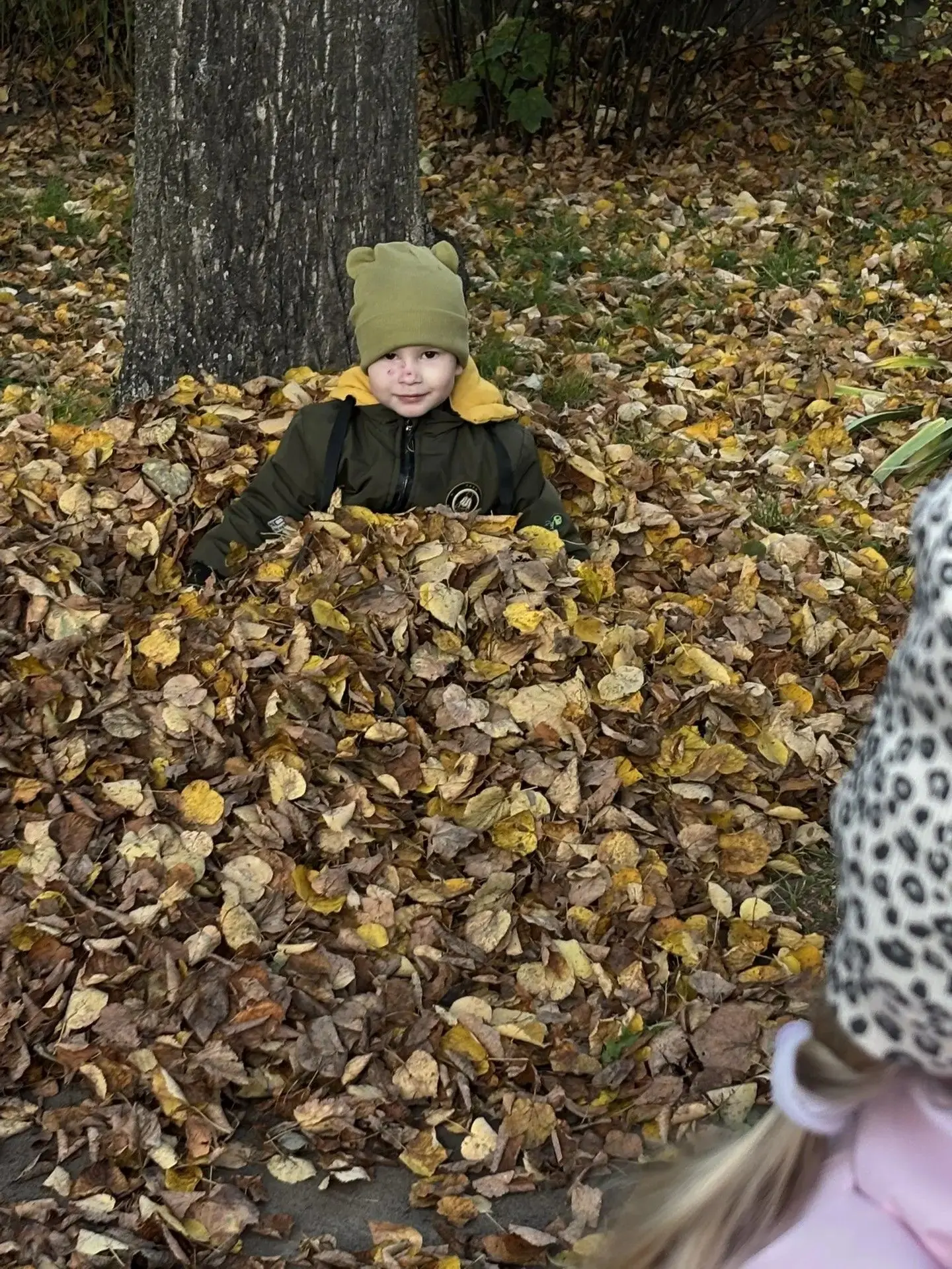🍂 Осень в группе «Пчёлка» получилась золотой!