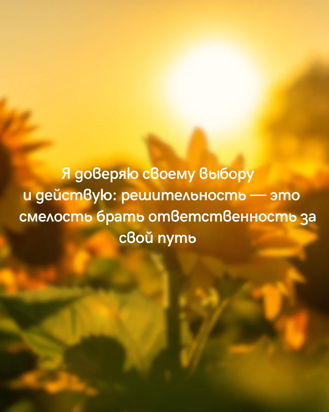 🌅 И пусть этот путь будет светлым