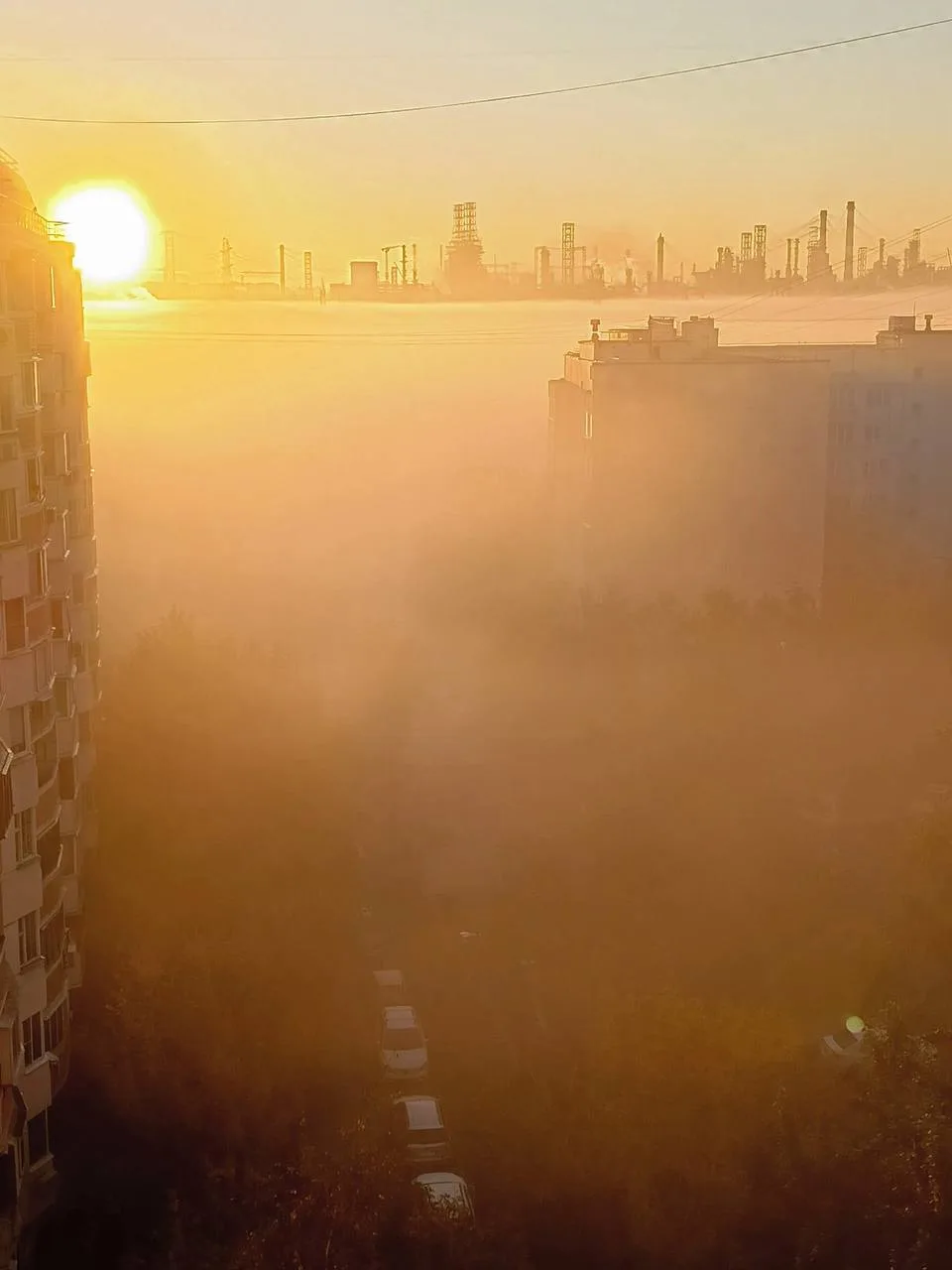 Утренний туман в объективе нашего подписчика 😍